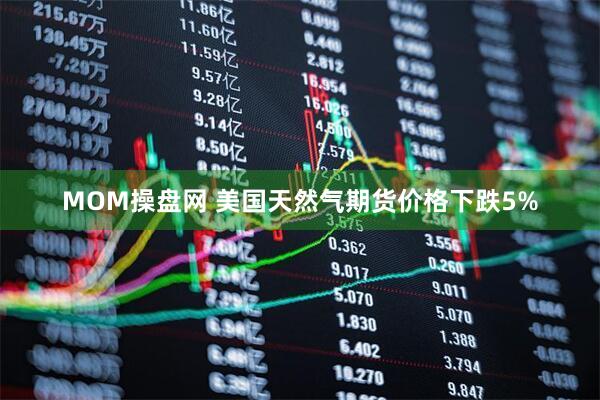 MOM操盘网 美国天然气期货价格下跌5%