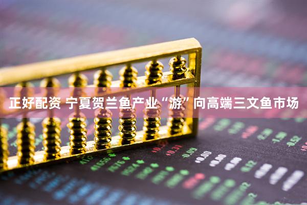 正好配资 宁夏贺兰鱼产业“游”向高端三文鱼市场