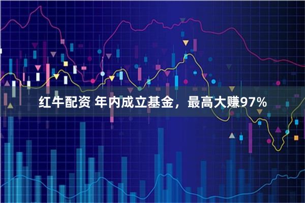 红牛配资 年内成立基金，最高大赚97%