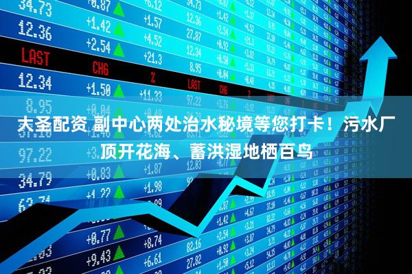 大圣配资 副中心两处治水秘境等您打卡！污水厂顶开花海、蓄洪湿地栖百鸟